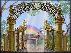 Den danske version of the Rainbow Bridge Poem