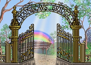 Welcome to Rainbows Bridge