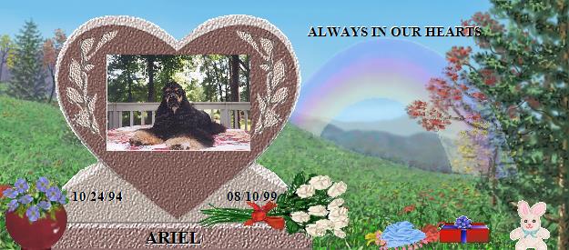 ARIEL's Rainbow Bridge Pet Loss Memorial Residency Image