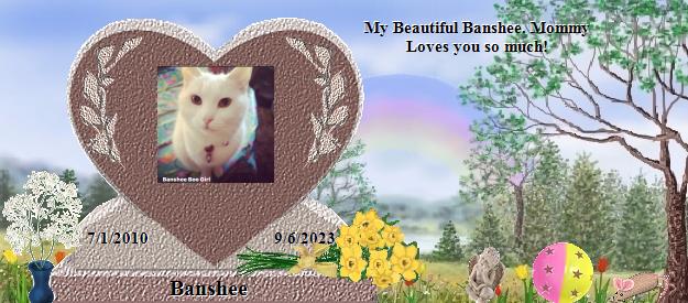 Banshee's Rainbow Bridge Pet Loss Memorial Residency Image