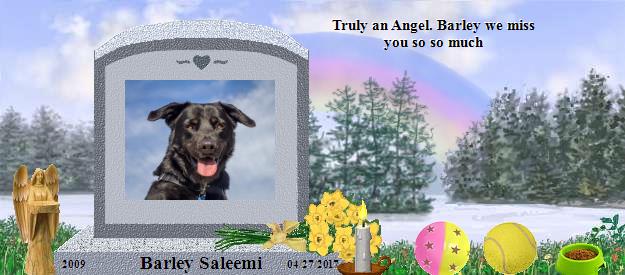 Barley Saleemi's Rainbow Bridge Pet Loss Memorial Residency Image