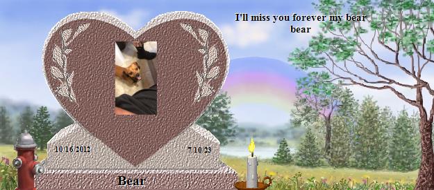 Bear's Rainbow Bridge Pet Loss Memorial Residency Image