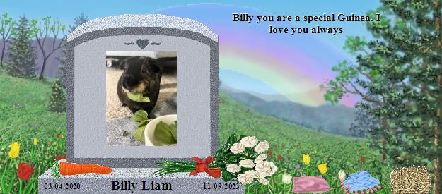 Billy Liam's Rainbow Bridge Pet Loss Memorial Residency Image