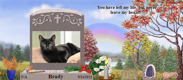 Brady's Rainbow Bridge Pet Loss Memorial Residency Image