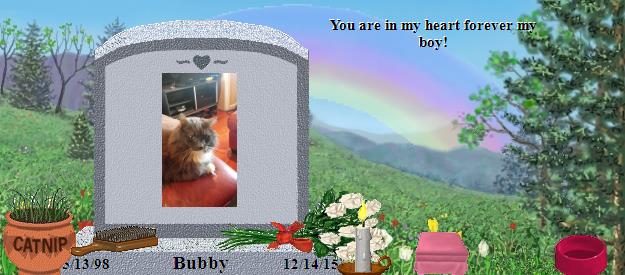 Bubby's Rainbow Bridge Pet Loss Memorial Residency Image