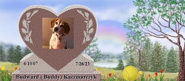 Budward ( Buddy) Kaczmarczyk's Rainbow Bridge Pet Loss Memorial Residency Image