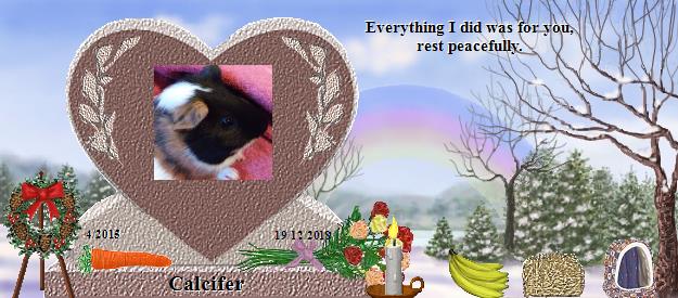 Calcifer's Rainbow Bridge Pet Loss Memorial Residency Image