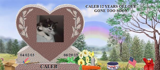 CALEB's Rainbow Bridge Pet Loss Memorial Residency Image