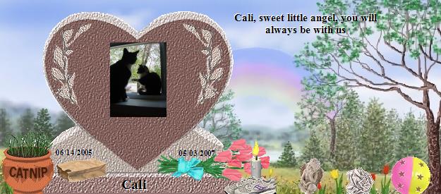Cali's Rainbow Bridge Pet Loss Memorial Residency Image