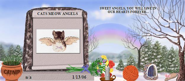 CATS MEOW ANGELS's Rainbow Bridge Pet Loss Memorial Residency Image