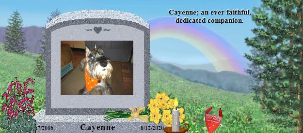 Cayenne's Rainbow Bridge Pet Loss Memorial Residency Image