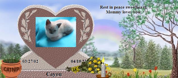 Cayou's Rainbow Bridge Pet Loss Memorial Residency Image