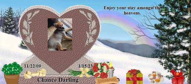 Chance Darling's Rainbow Bridge Pet Loss Memorial Residency Image