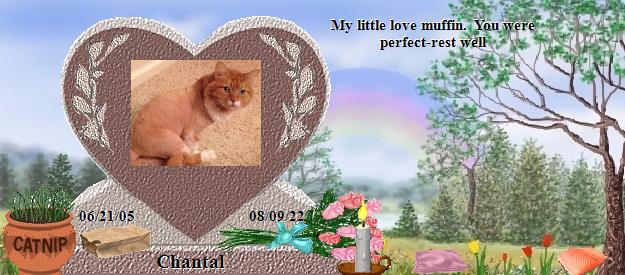 Chantal's Rainbow Bridge Pet Loss Memorial Residency Image