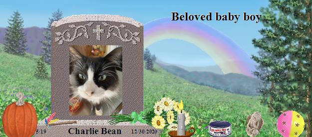 Charlie Bean's Rainbow Bridge Pet Loss Memorial Residency Image
