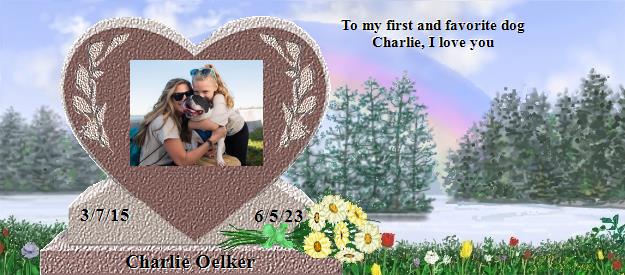 Charlie Oelker's Rainbow Bridge Pet Loss Memorial Residency Image