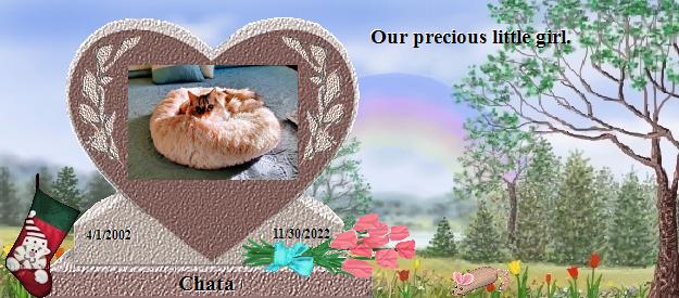 Chata's Rainbow Bridge Pet Loss Memorial Residency Image