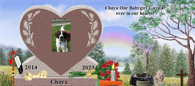 Chaya's Rainbow Bridge Pet Loss Memorial Residency Image