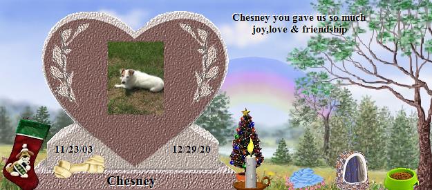 Chesney's Rainbow Bridge Pet Loss Memorial Residency Image