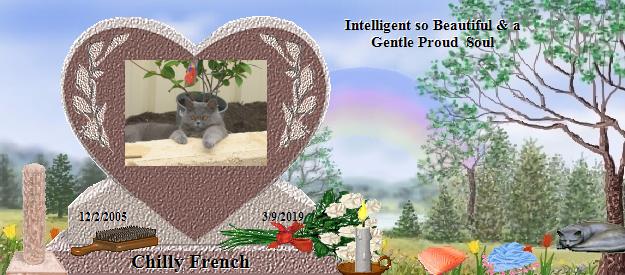 Chilly French's Rainbow Bridge Pet Loss Memorial Residency Image