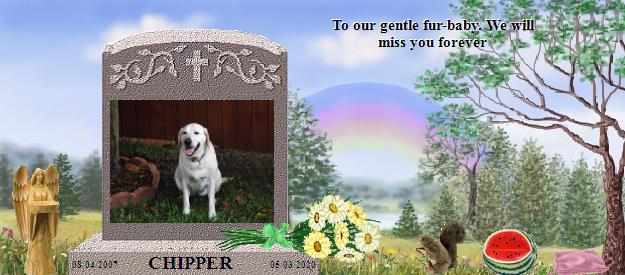 CHIPPER's Rainbow Bridge Pet Loss Memorial Residency Image