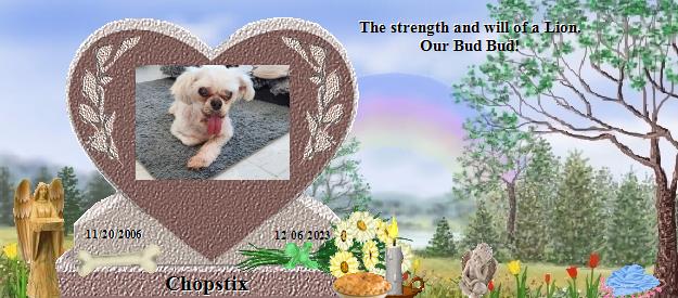 Chopstix's Rainbow Bridge Pet Loss Memorial Residency Image