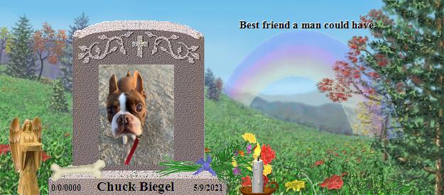 Chuck Biegel's Rainbow Bridge Pet Loss Memorial Residency Image