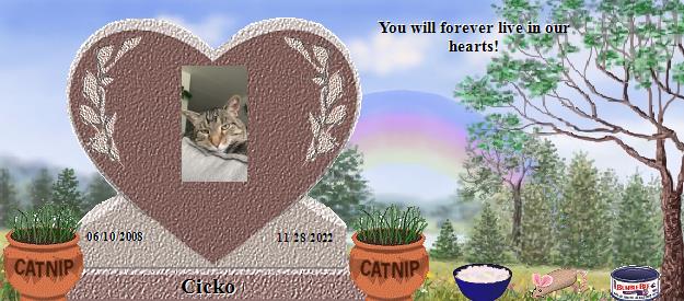 Cicko's Rainbow Bridge Pet Loss Memorial Residency Image