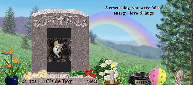 Clyde Boy's Rainbow Bridge Pet Loss Memorial Residency Image