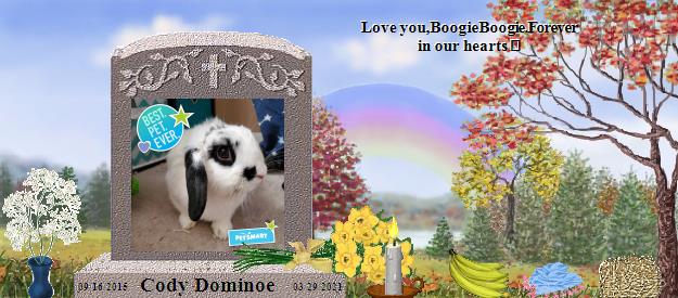 Cody Dominoe's Rainbow Bridge Pet Loss Memorial Residency Image