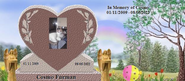 Cosmo Furman's Rainbow Bridge Pet Loss Memorial Residency Image
