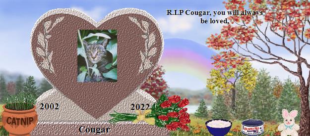 Cougar's Rainbow Bridge Pet Loss Memorial Residency Image