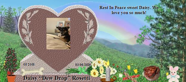 Daisy “Dew Drop” Rosetti's Rainbow Bridge Pet Loss Memorial Residency Image