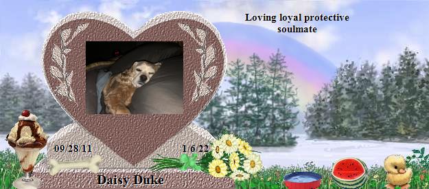 Daisy Duke's Rainbow Bridge Pet Loss Memorial Residency Image