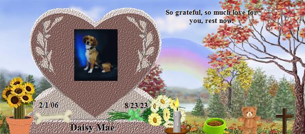 Daisy Mae's Rainbow Bridge Pet Loss Memorial Residency Image