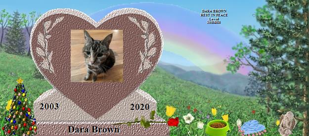 Dara Brown's Rainbow Bridge Pet Loss Memorial Residency Image