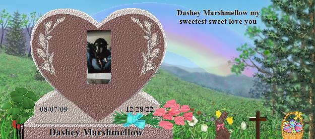 Dashey Marshmellow's Rainbow Bridge Pet Loss Memorial Residency Image