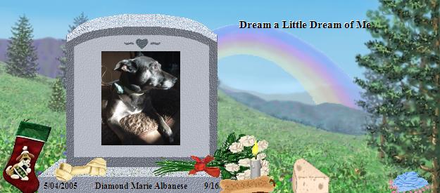 Diamond Marie Albanese's Rainbow Bridge Pet Loss Memorial Residency Image