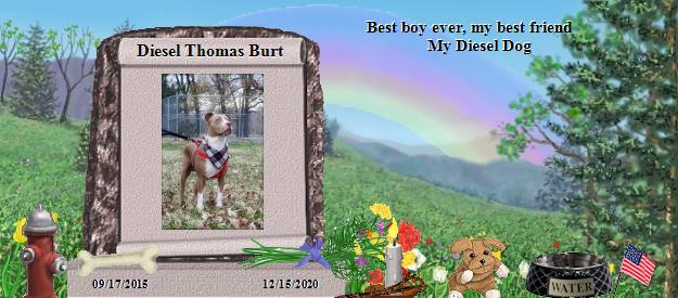 Diesel Thomas Burt's Rainbow Bridge Pet Loss Memorial Residency Image