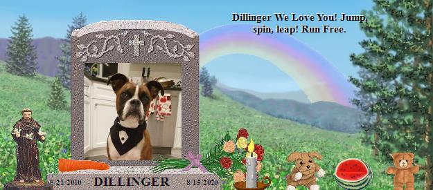 DILLINGER's Rainbow Bridge Pet Loss Memorial Residency Image