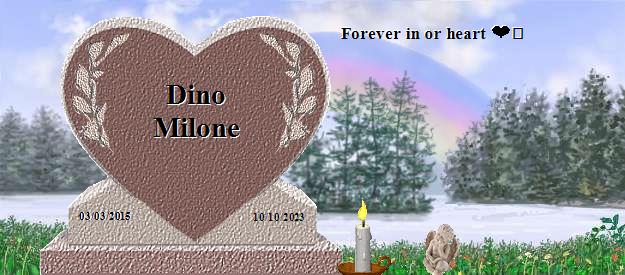 Dino Milone's Rainbow Bridge Pet Loss Memorial Residency Image