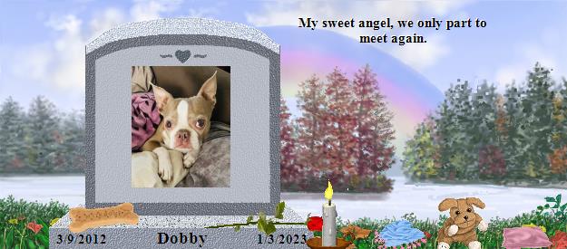 Dobby's Rainbow Bridge Pet Loss Memorial Residency Image