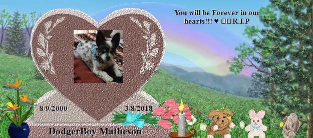 DodgerBoy Matheson's Rainbow Bridge Pet Loss Memorial Residency Image