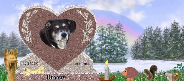 Droopy's Rainbow Bridge Pet Loss Memorial Residency Image