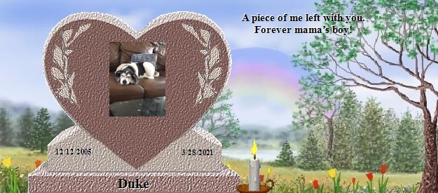 Duke's Rainbow Bridge Pet Loss Memorial Residency Image