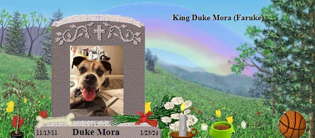 Duke Mora's Rainbow Bridge Pet Loss Memorial Residency Image