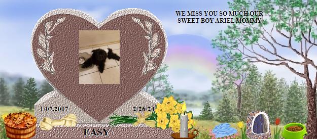 EASY's Rainbow Bridge Pet Loss Memorial Residency Image