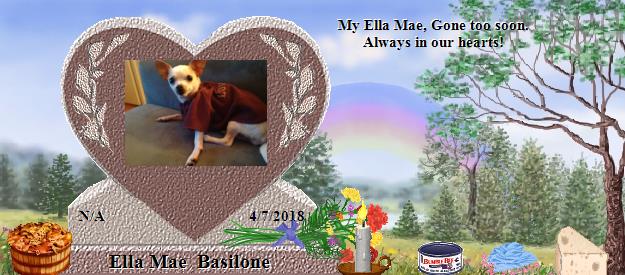 Ella Mae  Basilone's Rainbow Bridge Pet Loss Memorial Residency Image