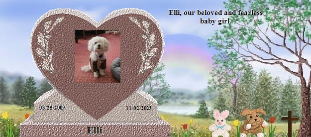 Elli's Rainbow Bridge Pet Loss Memorial Residency Image