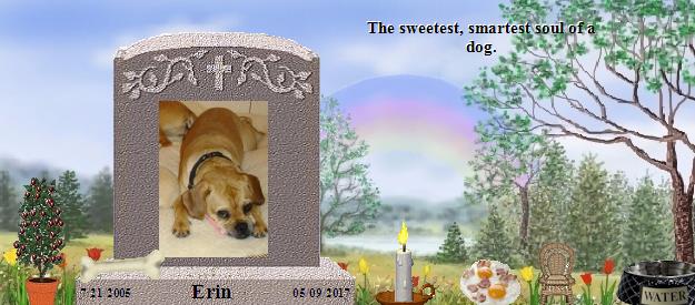 Erin's Rainbow Bridge Pet Loss Memorial Residency Image